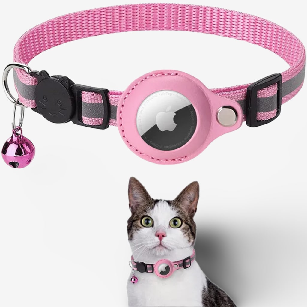 collier-gps-chat-anti-etranglement
