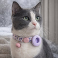 collier chat airtag