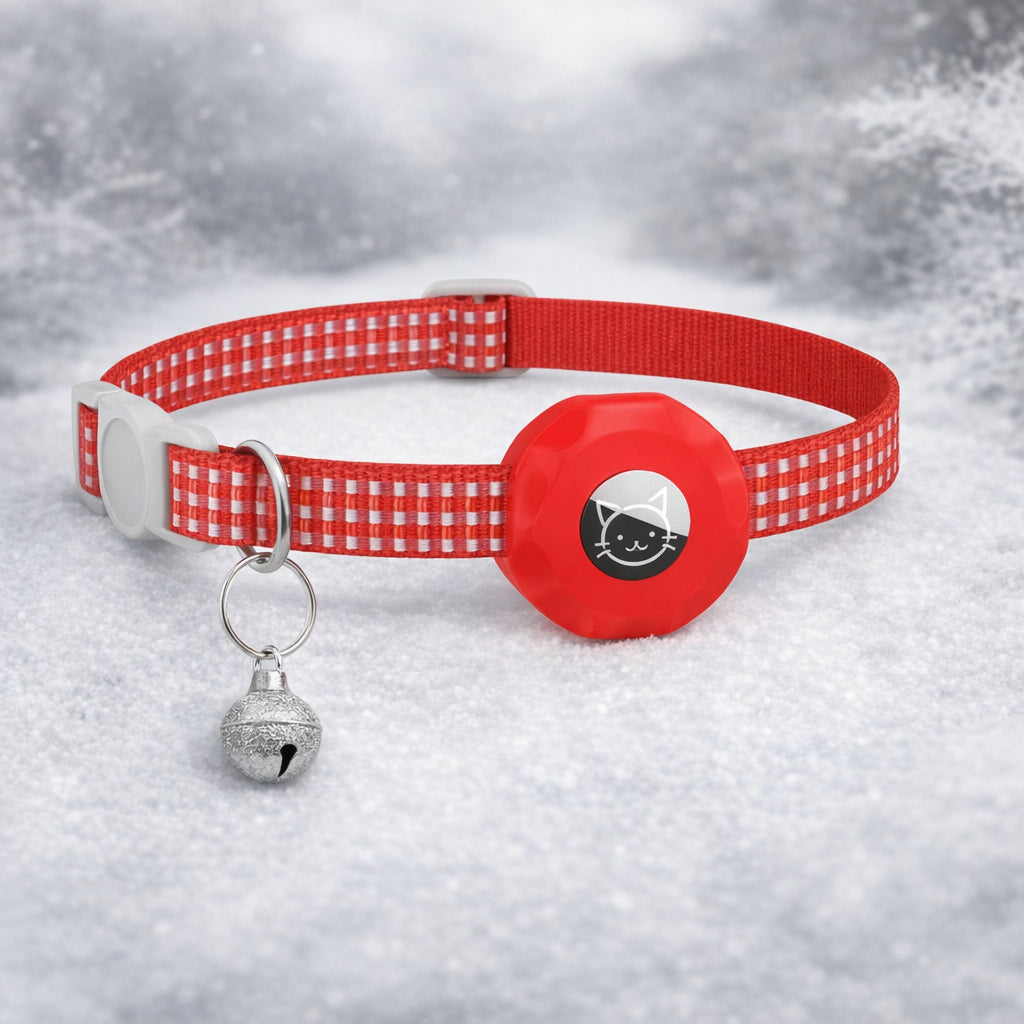 collier chat connecte