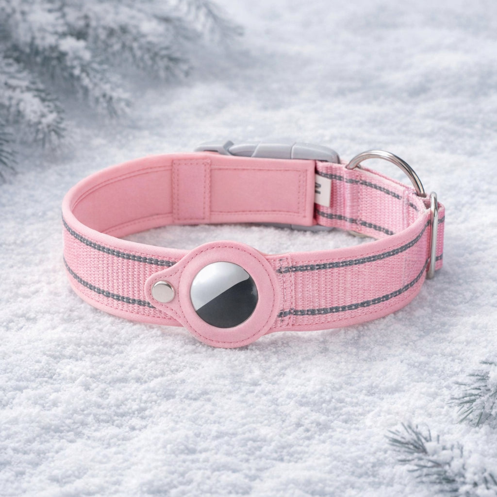 collier chien airtag