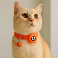 collar gps for cat