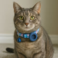 pet gps locator for cats