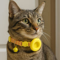 air tag cat collar