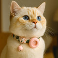 cat collar tracking device