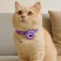 cat collar with tracker