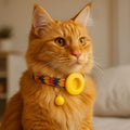 cat chip tracker