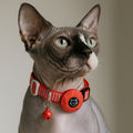 gps for cat collar