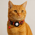 cat collar with airtag