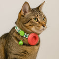 airtag cat collar breakaway