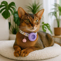 airtag cat harness