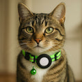 airtag collar cat