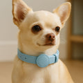airtag dog collar holder