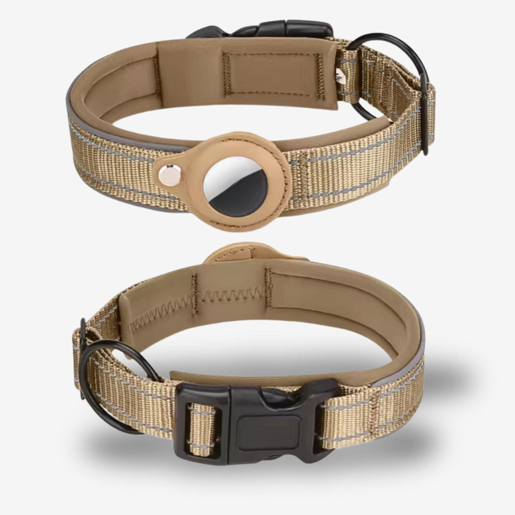 air tag dog collar