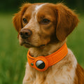 dog collar with airtag