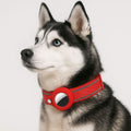 apple air tag dog collar