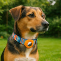 airtag for dog collar