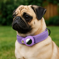air tag dog collar holder