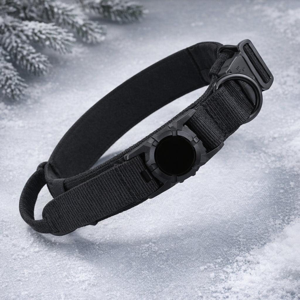 collier gps chien sans abonnement