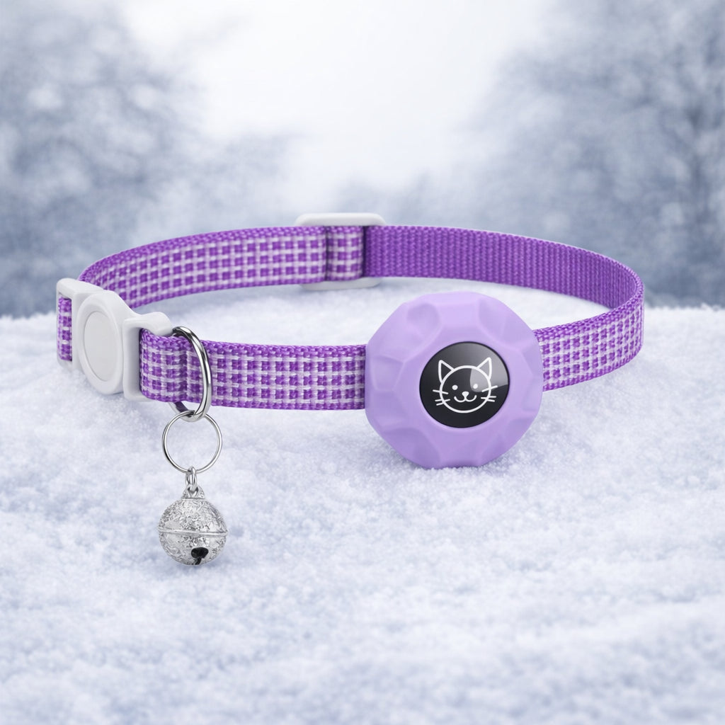 collier localisation chat