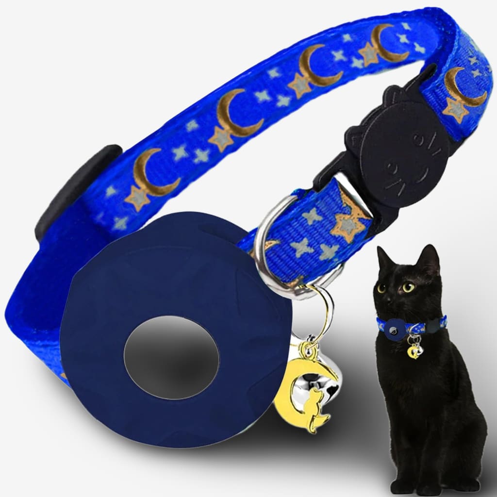 collier-chat-connecte