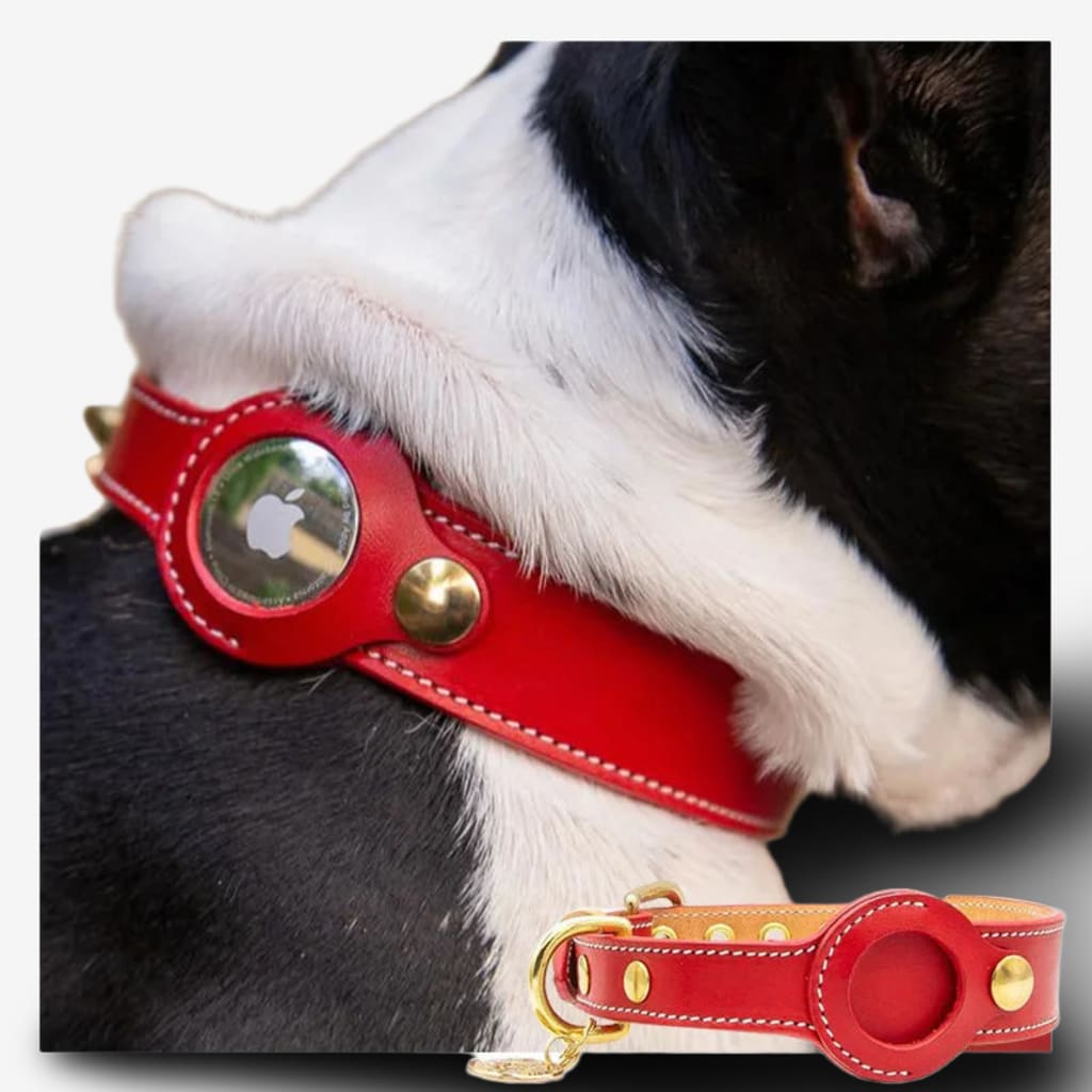 airtag-chien