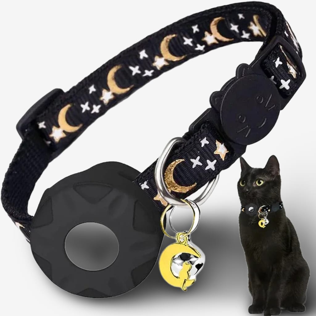 collier-chat-connecte