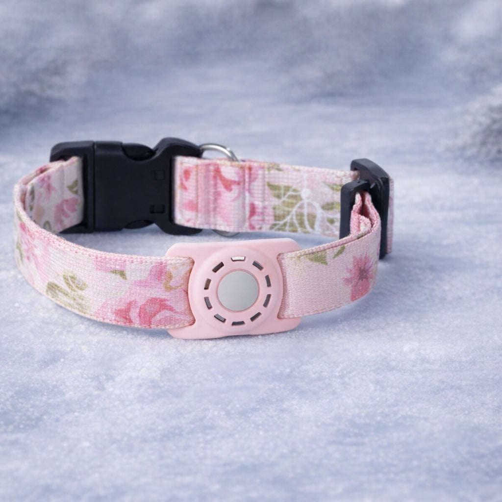 gps tracker pour chien