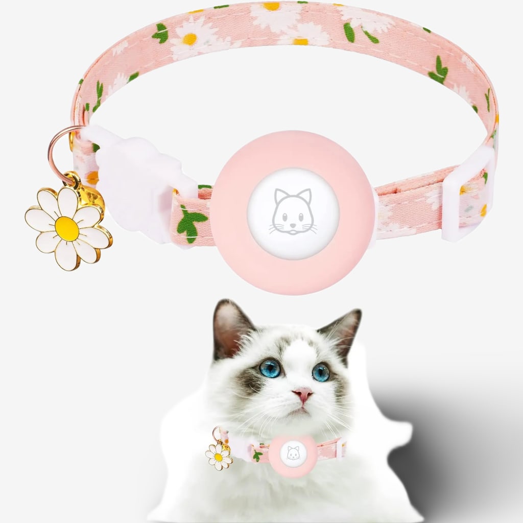 collier-localisation-chat