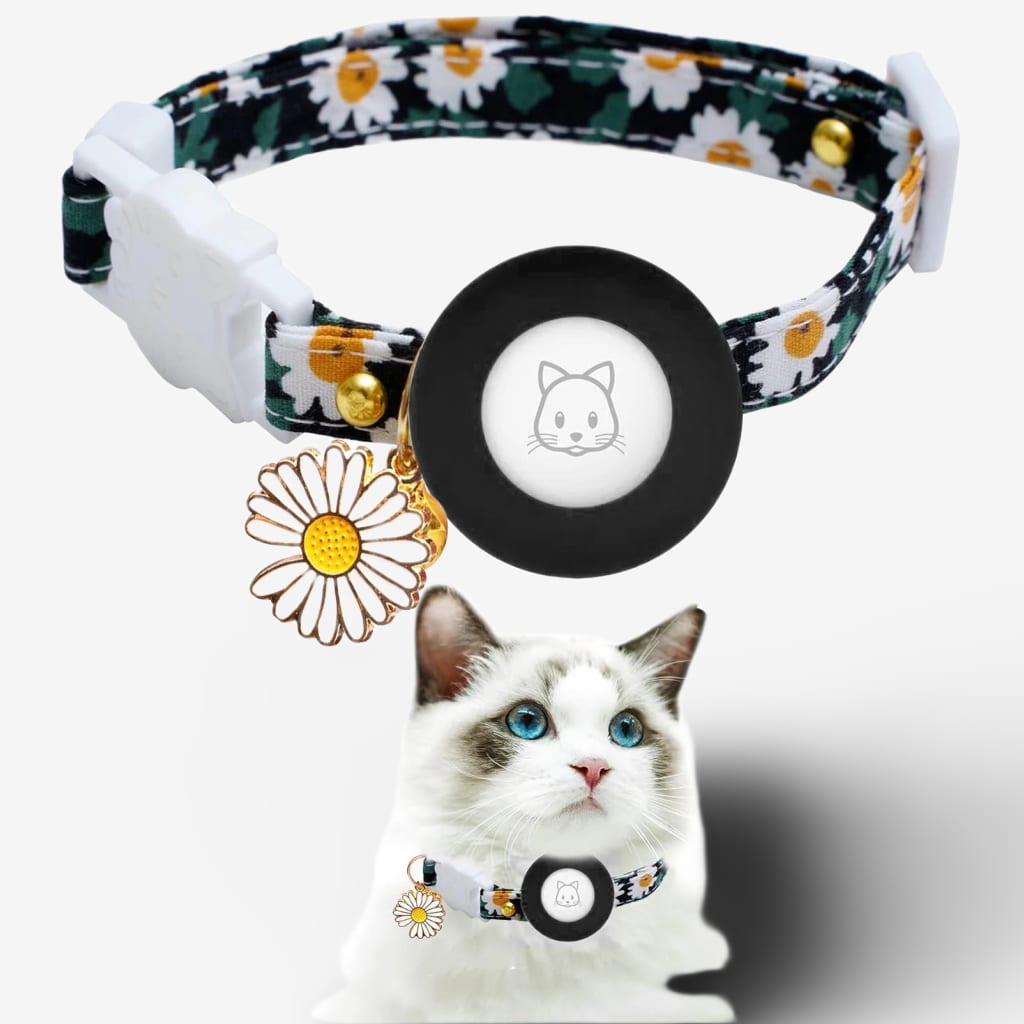 collier-localisation-chat