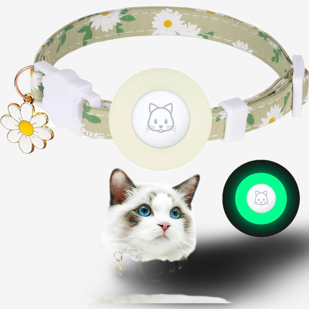 collier-localisation-chat