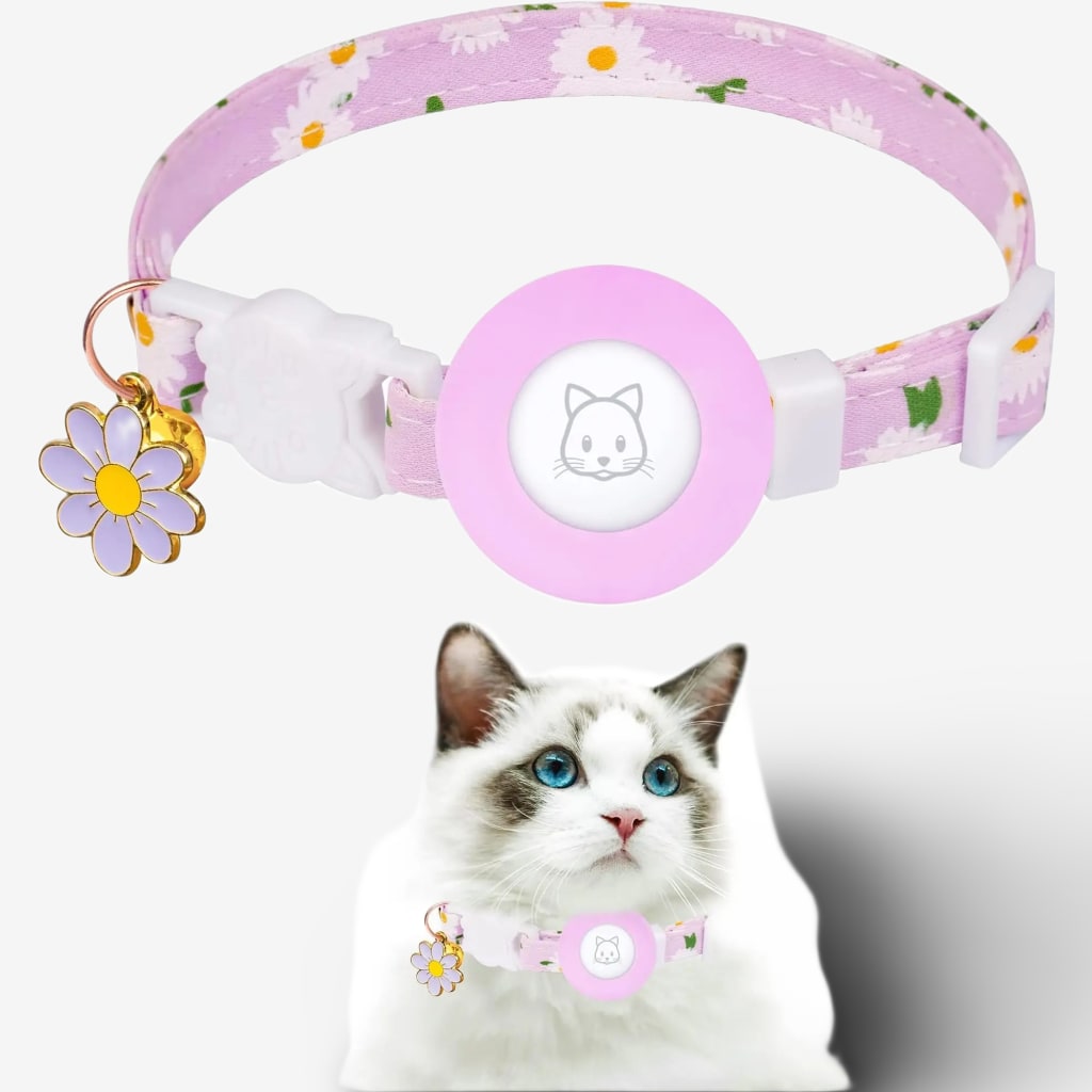 collier-localisation-chat