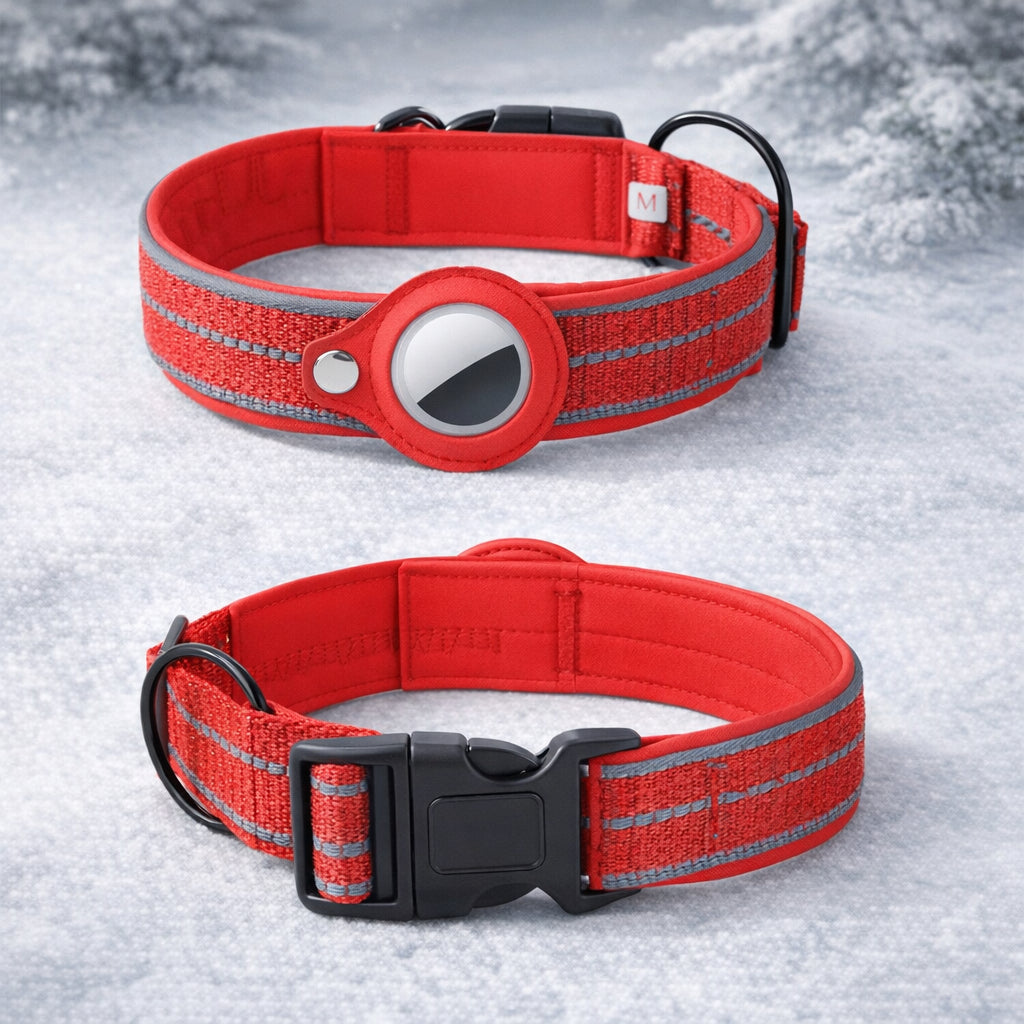 localisation puce chien