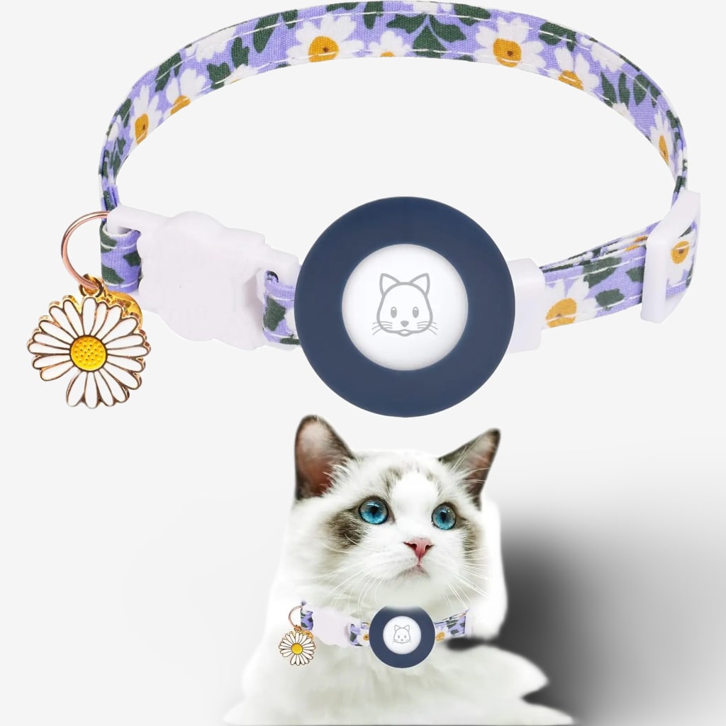 collier-localisation-chat