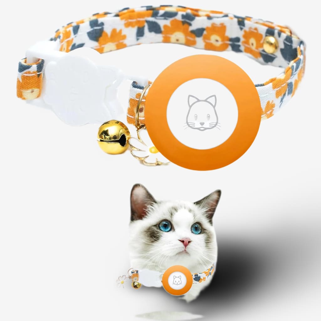 collier-localisation-chat