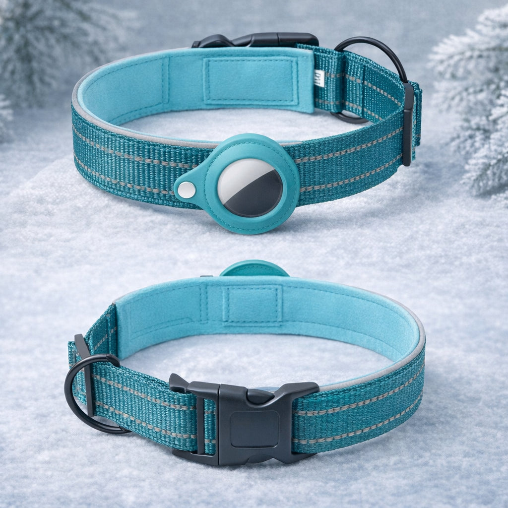 traceur gps chien sans abonnement