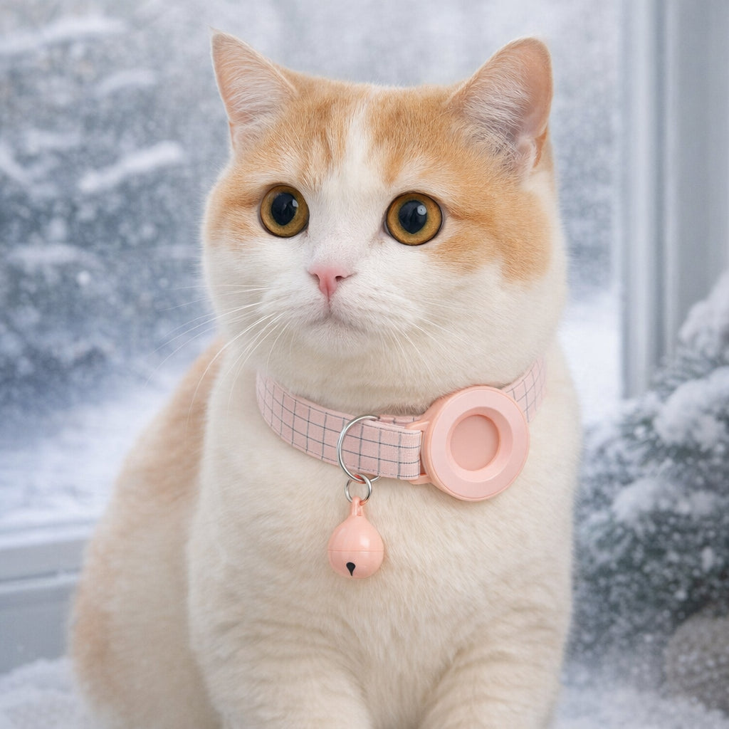 traceur gps pour chat