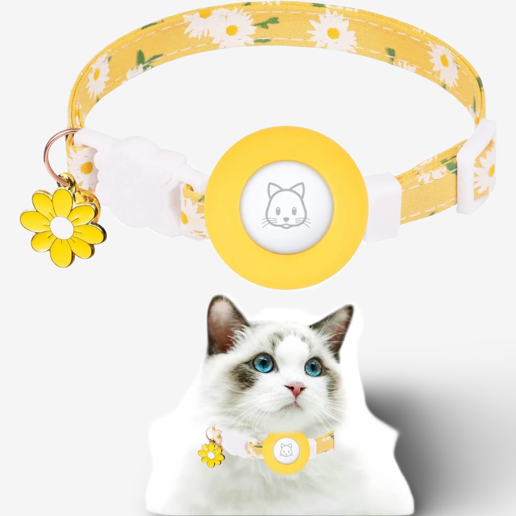collier-localisation-chat